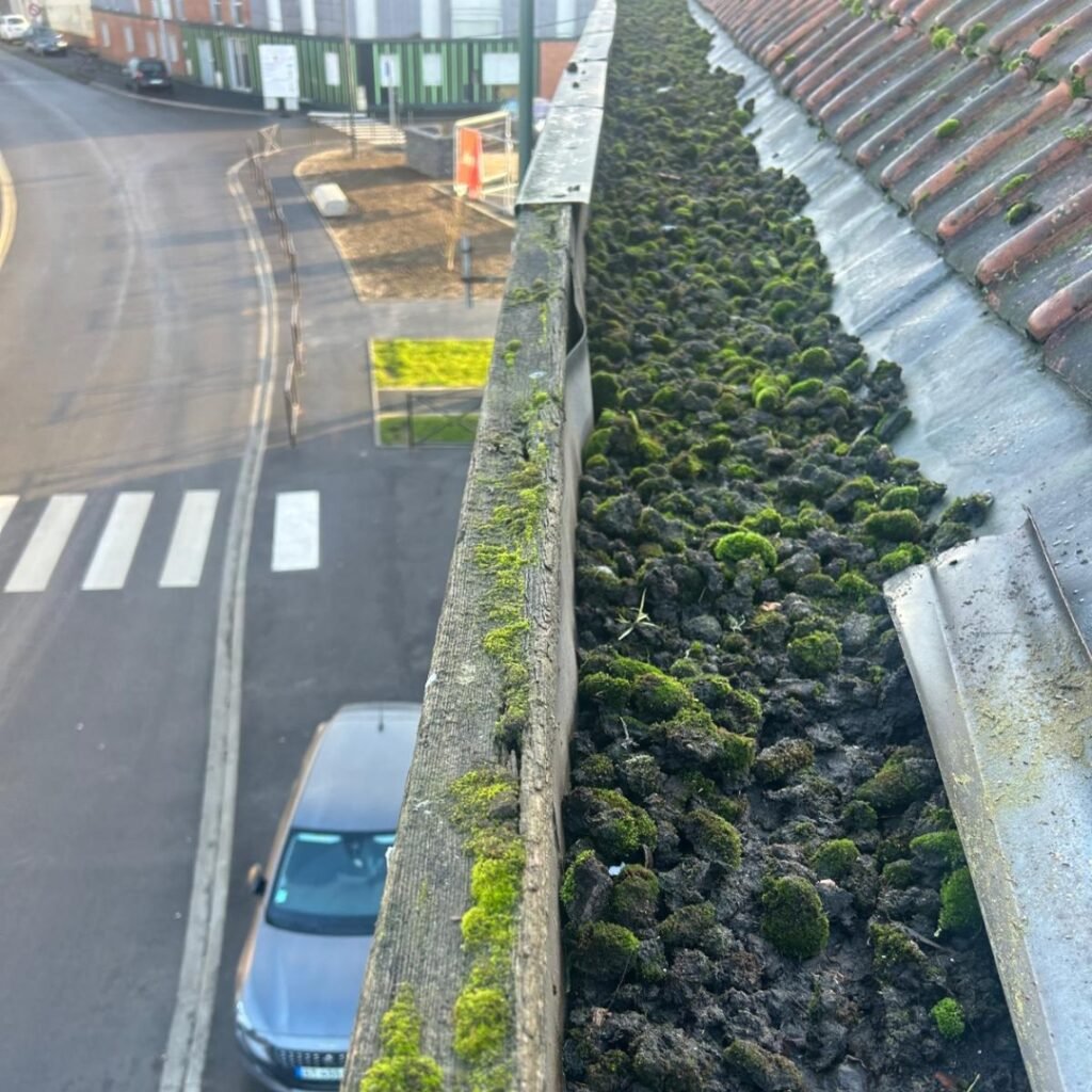 nettoyage gouttière
