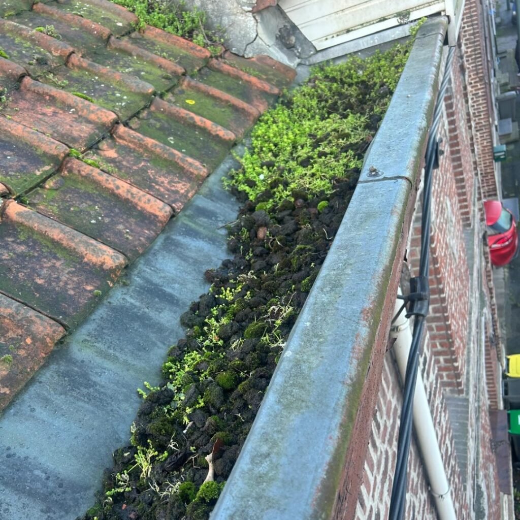 nettoyage gouttière valenciennes